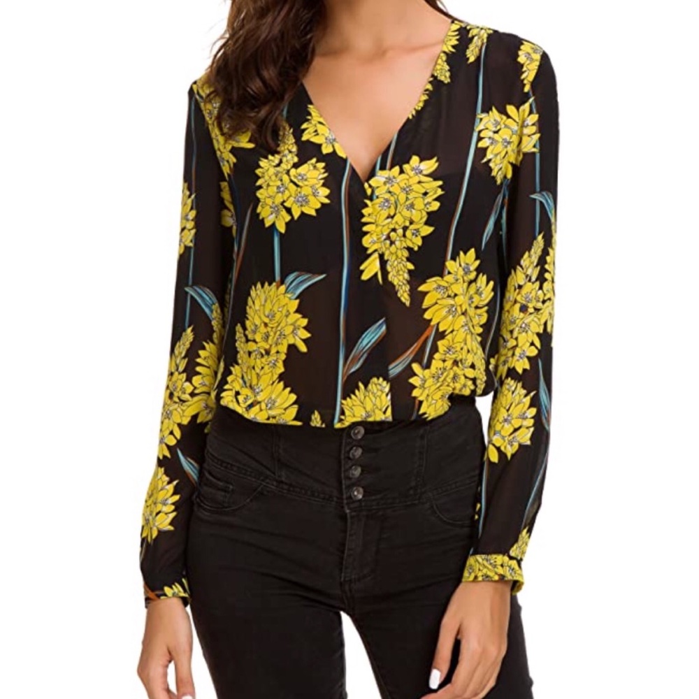Long sleeve sheer blouse; Size Large